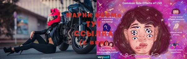 индика Приозерск